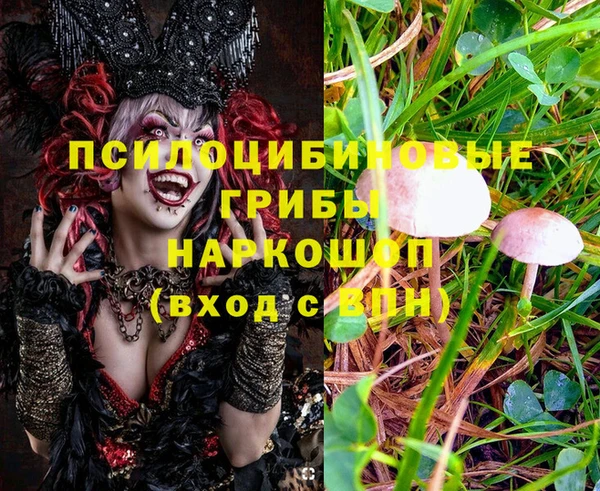 мет Нея