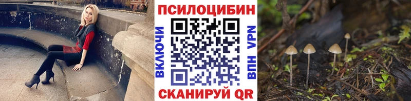 Галлюциногенные грибы Psilocybe Курганинск