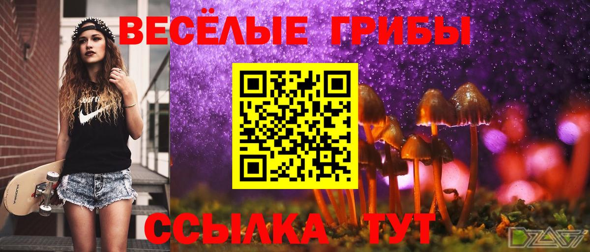 Курганинск  Галлюциногенные грибы Cubensis  Вход с VPN  где купить наркоту  Псилоцибиновые грибы Cubensis 