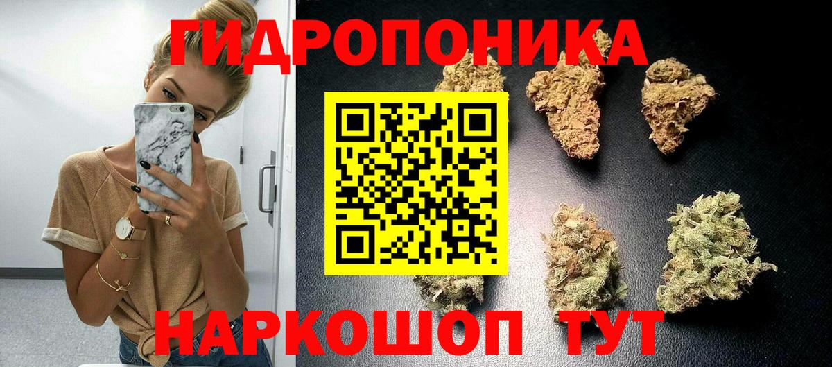 Марихуана Bruce Banner  Шишки марихуана Bruce Banner  Вход с VPN  Курганинск  Марихуана индика 